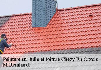 Peinture sur tuile et toiture  chezy-en-orxois-02810 M.Reinhardt