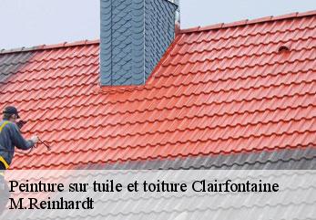 Peinture sur tuile et toiture  clairfontaine-02260 M.Reinhardt