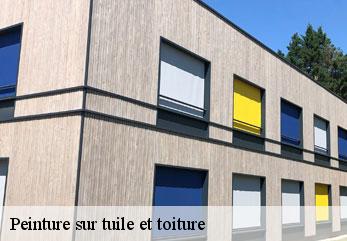 Peinture sur tuile et toiture  conde-en-brie-02330 M.Reinhardt
