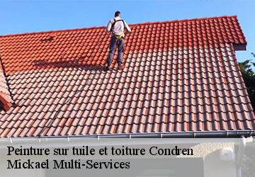 Peinture sur tuile et toiture condren-02700 Mickael Multi-Services