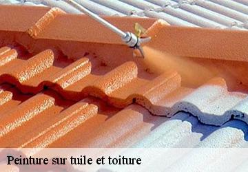 Peinture sur tuile et toiture