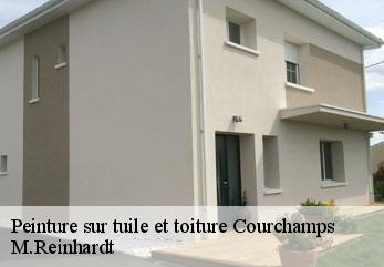 Peinture sur tuile et toiture  courchamps-02810 M.Reinhardt