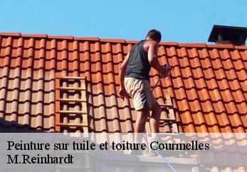 Peinture sur tuile et toiture  courmelles-02200 M.Reinhardt