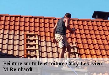 Peinture sur tuile et toiture  cuiry-les-iviers-02360 M.Reinhardt