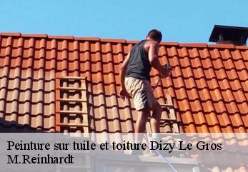 Peinture sur tuile et toiture  dizy-le-gros-02340 M.Reinhardt