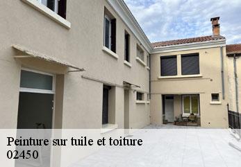 Peinture sur tuile et toiture  dorengt-02450 M.Reinhardt