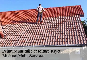 Peinture sur tuile et toiture fayet-02100 Mickael Multi-Services