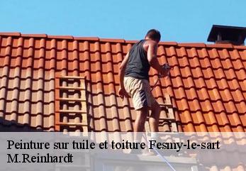 Peinture sur tuile et toiture fesmy-le-sart-02450 M.Reinhardt