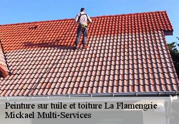 Peinture sur tuile et toiture la-flamengrie-02260 Mickael Multi-Services