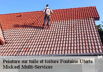 Peinture sur tuile et toiture fontaine-uterte-02110 Mickael Multi-Services