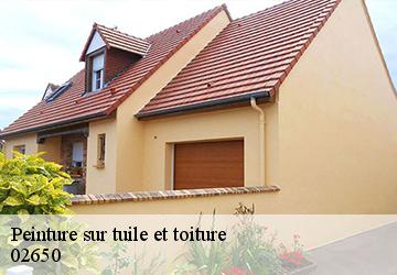Peinture sur tuile et toiture 02650