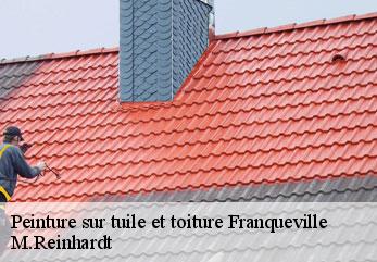 Peinture sur tuile et toiture  franqueville-02140 M.Reinhardt