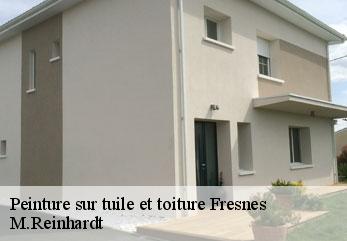 Peinture sur tuile et toiture  fresnes-02380 M.Reinhardt
