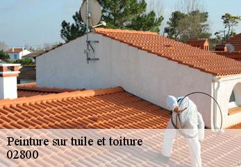 Peinture sur tuile et toiture  fressancourt-02800 M.Reinhardt