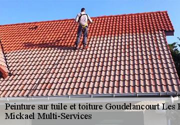 Peinture sur tuile et toiture goudelancourt-les-berrieux-02820 Mickael Multi-Services