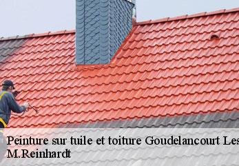Peinture sur tuile et toiture goudelancourt-les-pierrepont-02350 M.Reinhardt