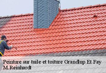 Peinture sur tuile et toiture  grandlup-et-fay-02350 M.Reinhardt