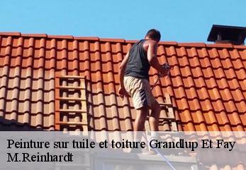 Peinture sur tuile et toiture  grandlup-et-fay-02350 M.Reinhardt