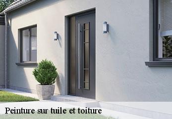 Peinture sur tuile et toiture  grougis-02110 M.Reinhardt