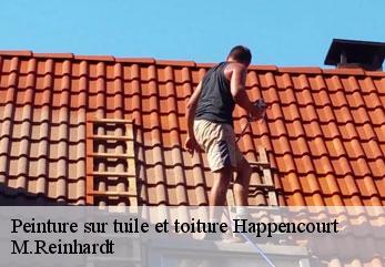 Peinture sur tuile et toiture  happencourt-02480 M.Reinhardt