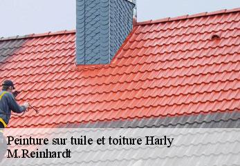 Peinture sur tuile et toiture  harly-02100 M.Reinhardt