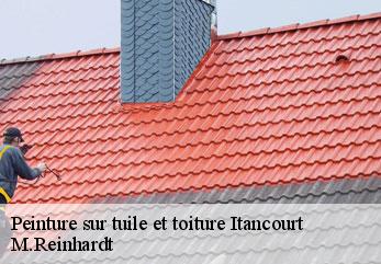 Peinture sur tuile et toiture itancourt-02240 M.Reinhardt