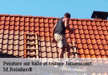 Peinture sur tuile et toiture  jumencourt-02380 M.Reinhardt