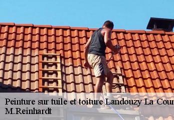 Peinture sur tuile et toiture  landouzy-la-cour-02140 M.Reinhardt