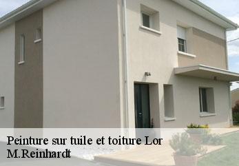 Peinture sur tuile et toiture  lor-02190 M.Reinhardt