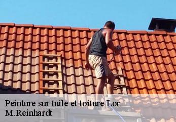 Peinture sur tuile et toiture  lor-02190 M.Reinhardt