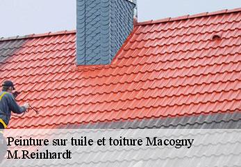 Peinture sur tuile et toiture macogny-02470 M.Reinhardt