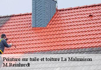 Peinture sur tuile et toiture  la-malmaison-02190 M.Reinhardt