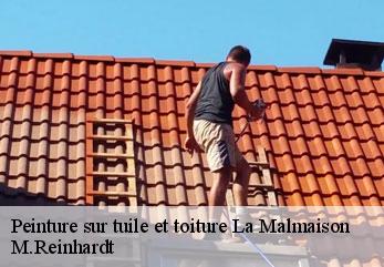 Peinture sur tuile et toiture la-malmaison-02190 M.Reinhardt