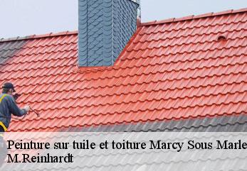 Peinture sur tuile et toiture marcy-sous-marle-02250 M.Reinhardt