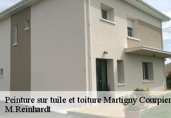 Peinture sur tuile et toiture  martigny-courpierre-02860 M.Reinhardt