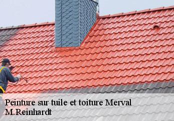 Peinture sur tuile et toiture  merval-02160 M.Reinhardt