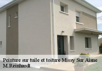 Peinture sur tuile et toiture  missy-sur-aisne-02880 M.Reinhardt