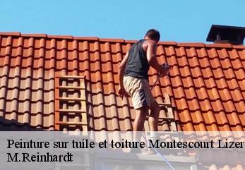 Peinture sur tuile et toiture  montescourt-lizerolles-02440 M.Reinhardt