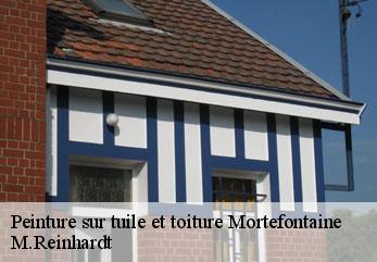 Peinture sur tuile et toiture  mortefontaine-02600 M.Reinhardt