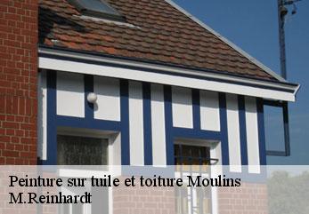 Peinture sur tuile et toiture  moulins-02160 M.Reinhardt