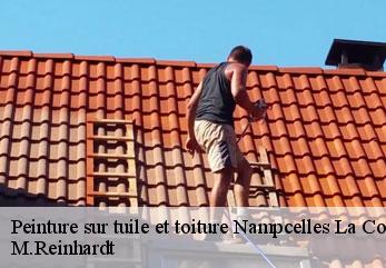 Peinture sur tuile et toiture  nampcelles-la-cour-02140 M.Reinhardt