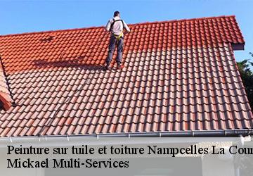 Peinture sur tuile et toiture nampcelles-la-cour-02140 Mickael Multi-Services