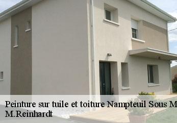 Peinture sur tuile et toiture  nampteuil-sous-muret-02200 M.Reinhardt
