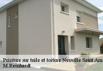 Peinture sur tuile et toiture  neuville-saint-amand-02100 M.Reinhardt
