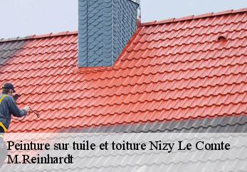 Peinture sur tuile et toiture  nizy-le-comte-02150 M.Reinhardt