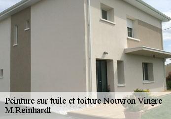 Peinture sur tuile et toiture  nouvron-vingre-02290 M.Reinhardt