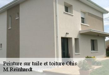 Peinture sur tuile et toiture  ohis-02500 M.Reinhardt