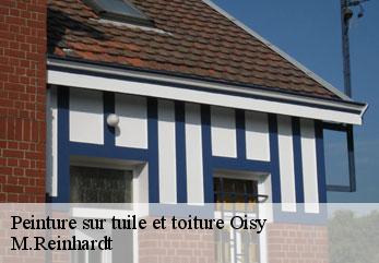 Peinture sur tuile et toiture oisy-02450 M.Reinhardt