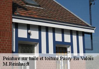 Peinture sur tuile et toiture  passy-en-valois-02470 M.Reinhardt