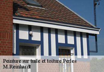 Peinture sur tuile et toiture  perles-02160 M.Reinhardt